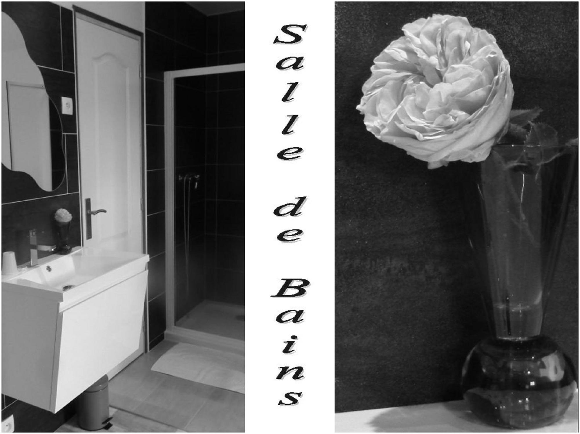 La Bastide Du Moulin - Mont St Michel Bed & Breakfast Moidrey Room photo